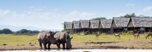 4 Days Getaway Lake Nakuru and Mara | Nairobi National Park