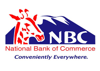 NBC-twcc-tanzanian-women-chamber-of-commerce.png