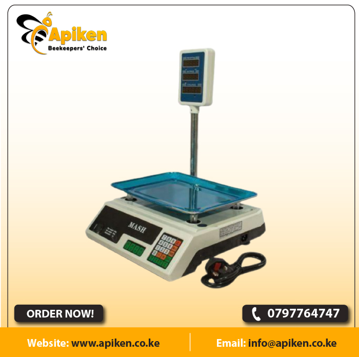 APIKEN TEMPLATE plain 50s