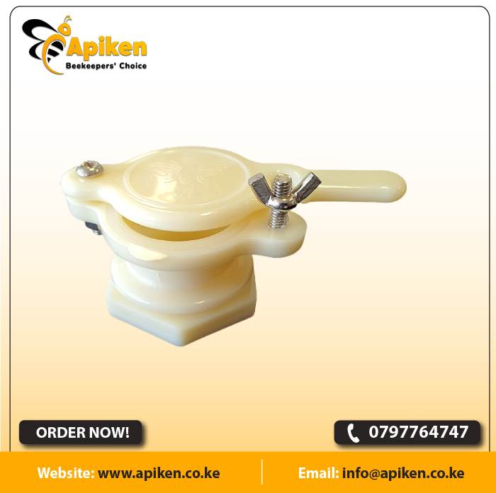 APIKEN TEMPLATE plain 50s