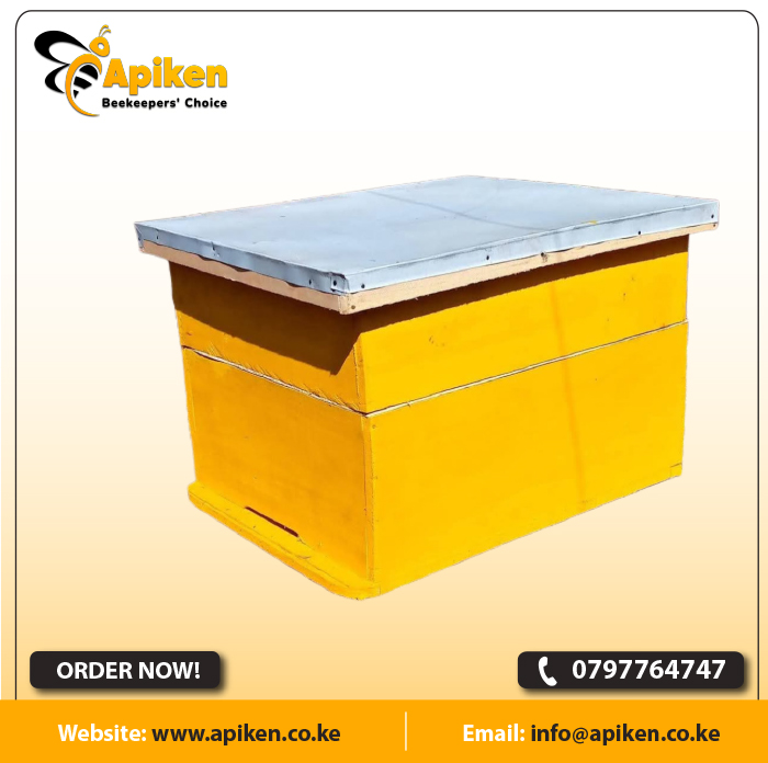 APIKEN TEMPLATE plain 50s