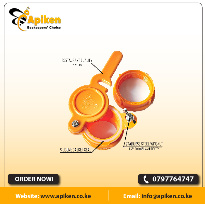 APIKEN TEMPLATE plain 50s