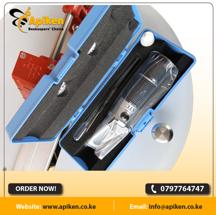 APIKEN TEMPLATE plain 50s