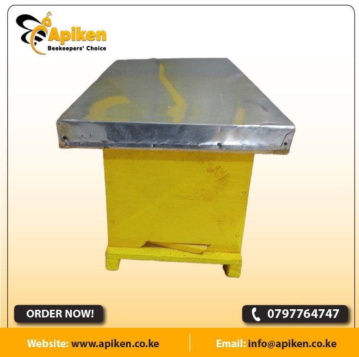 APIKEN TEMPLATE plain 50s