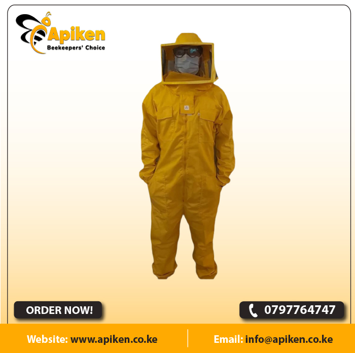 APIKEN TEMPLATE plain 50s