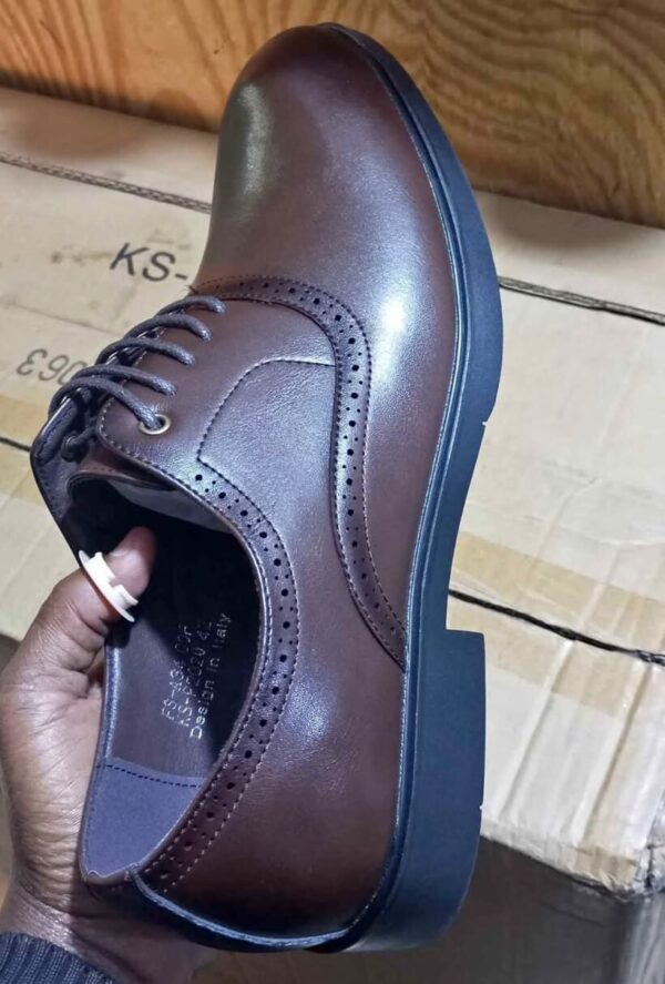 Brown Official shoes