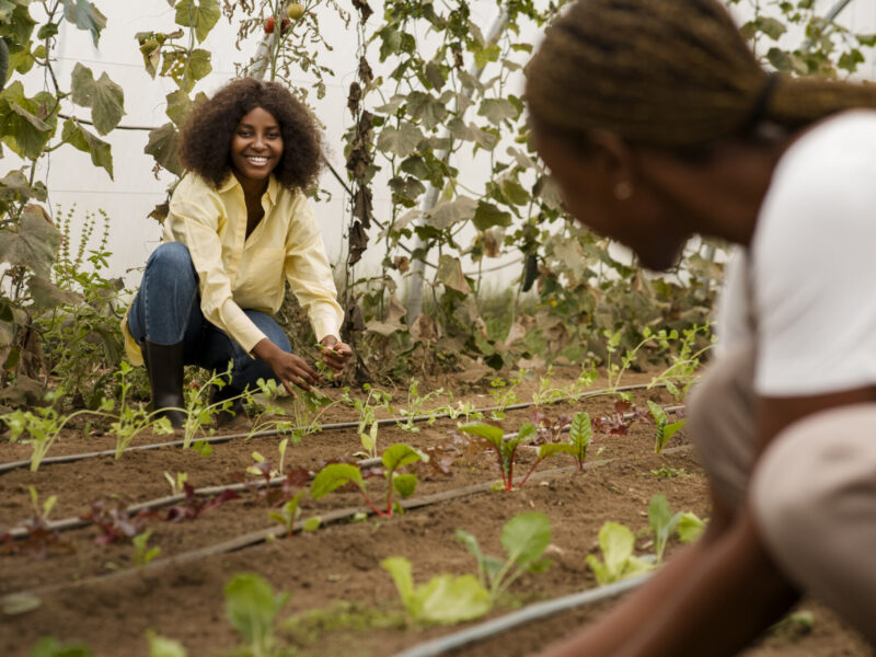 side-view-women-working-together