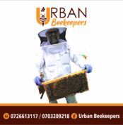 Beekeeping