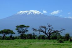 amboseli-16